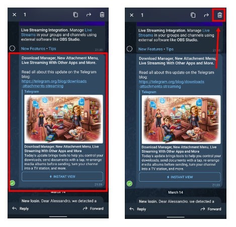 Telegram安全使用技巧_Telegram电报选择信息_Telegram电报删除图标_Telegram中文版