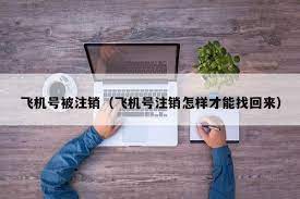 飞机号被注销怎么找回-电报官网